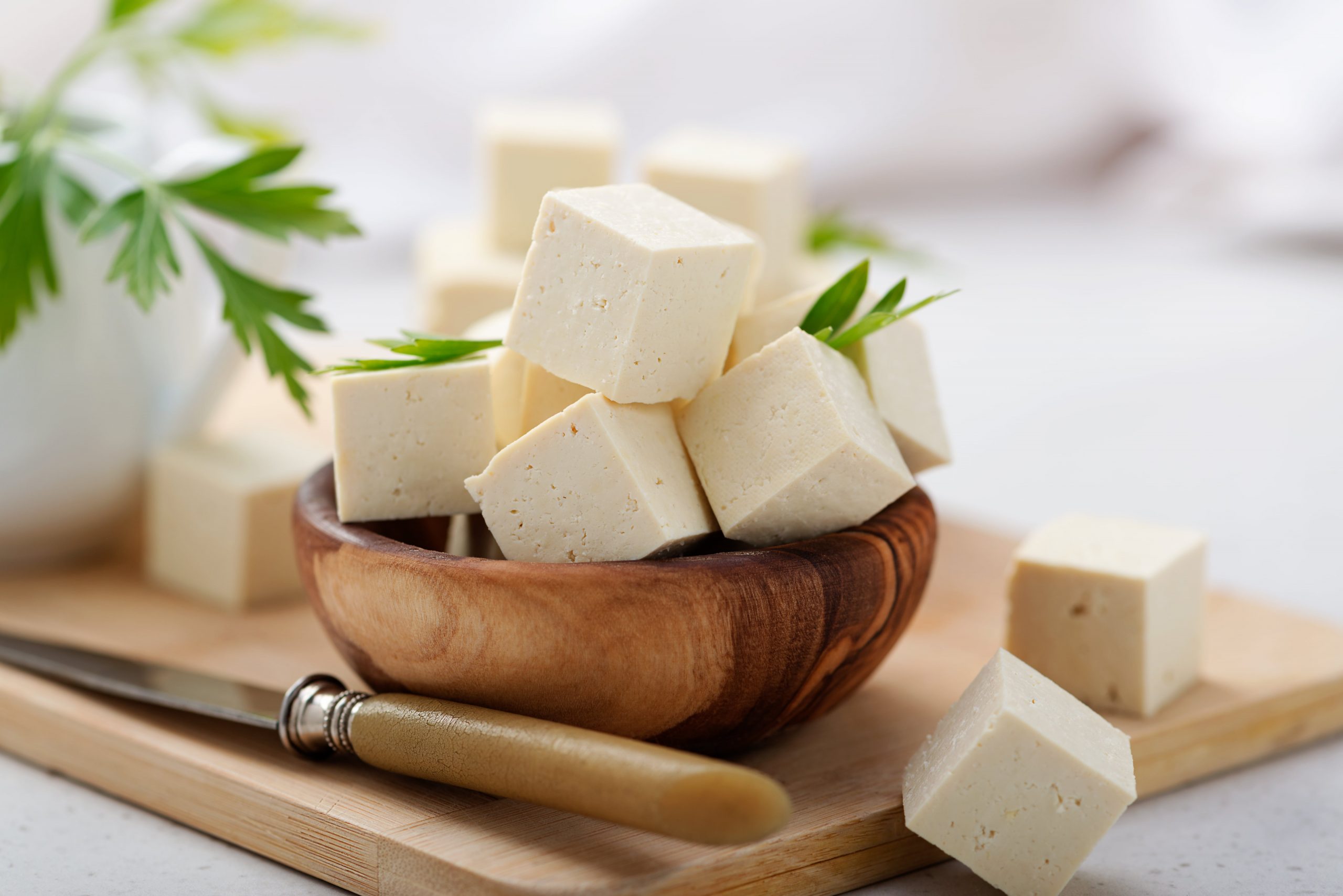 ALL YOU NEED TO KNOW ABOUT TOFU-min