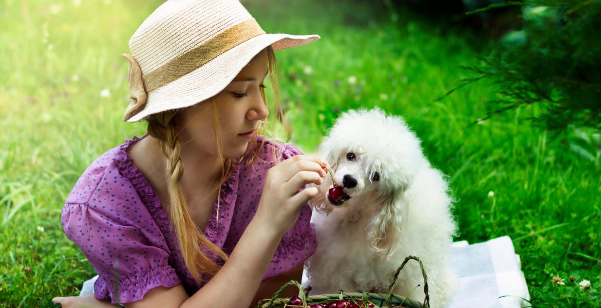 12 HUMAN FOODS YOU CAN GIVE TO YOUR DOGS-min
