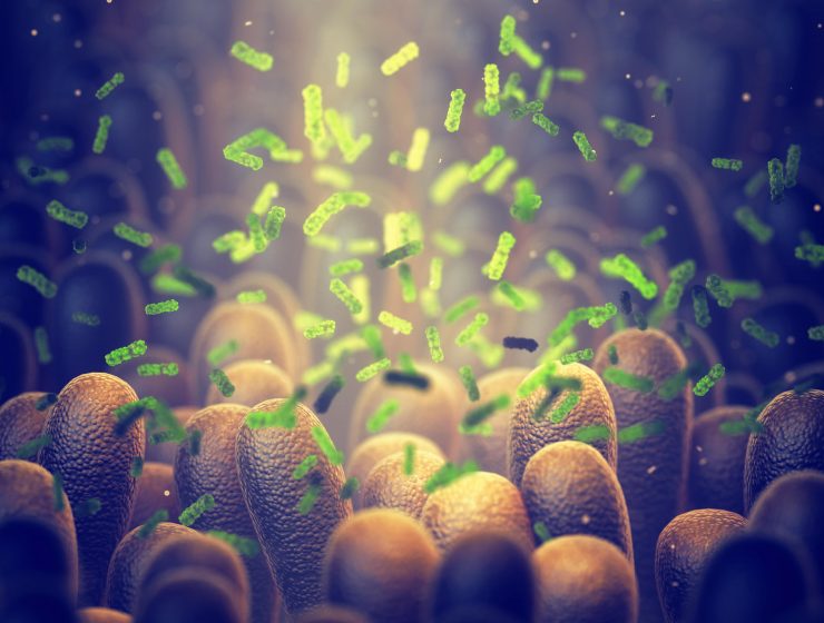 ALL YOU NEED TO KNOW ABOUT THE GUT MICROBIOME-min