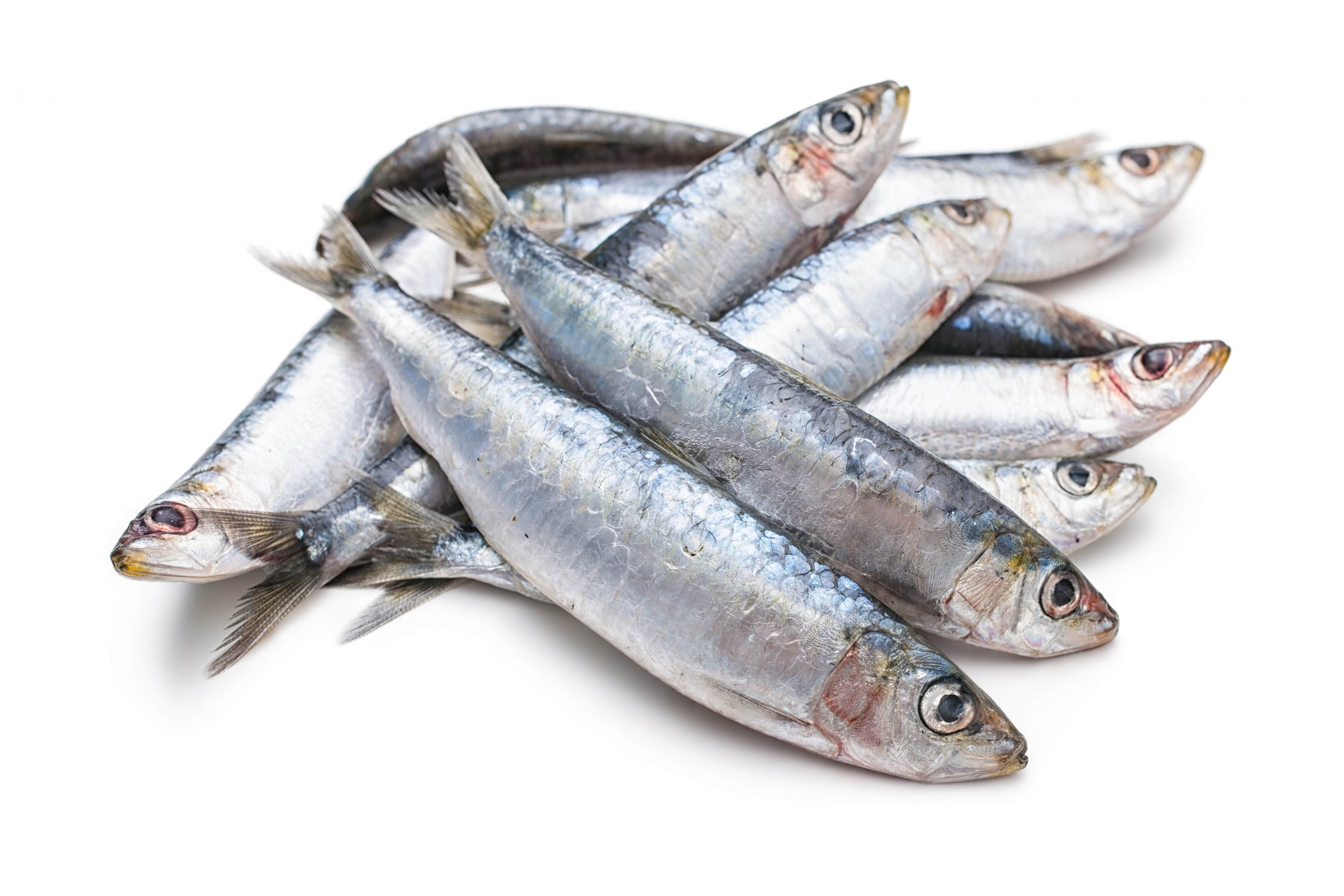ARE SARDINES GOOD FOR YOU-min