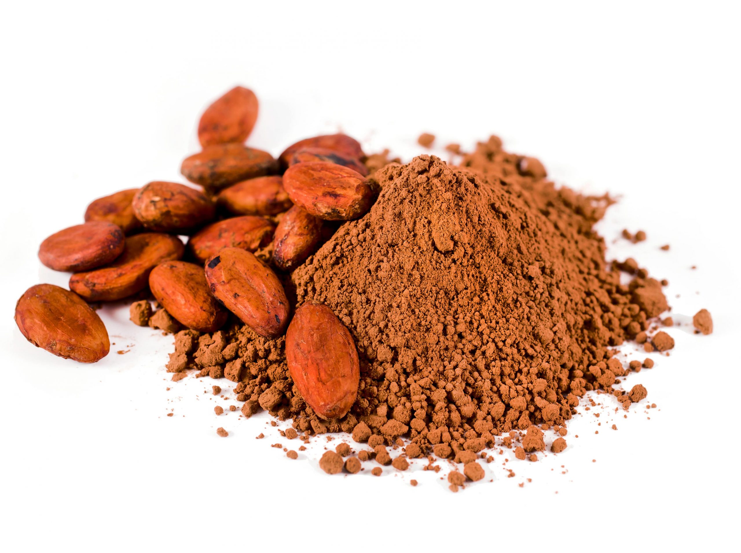 DIFFERENCES BETWEEN CACAO AND COCOA-min