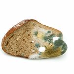 IS MOLDY BREAD SAFE TO EAT-min