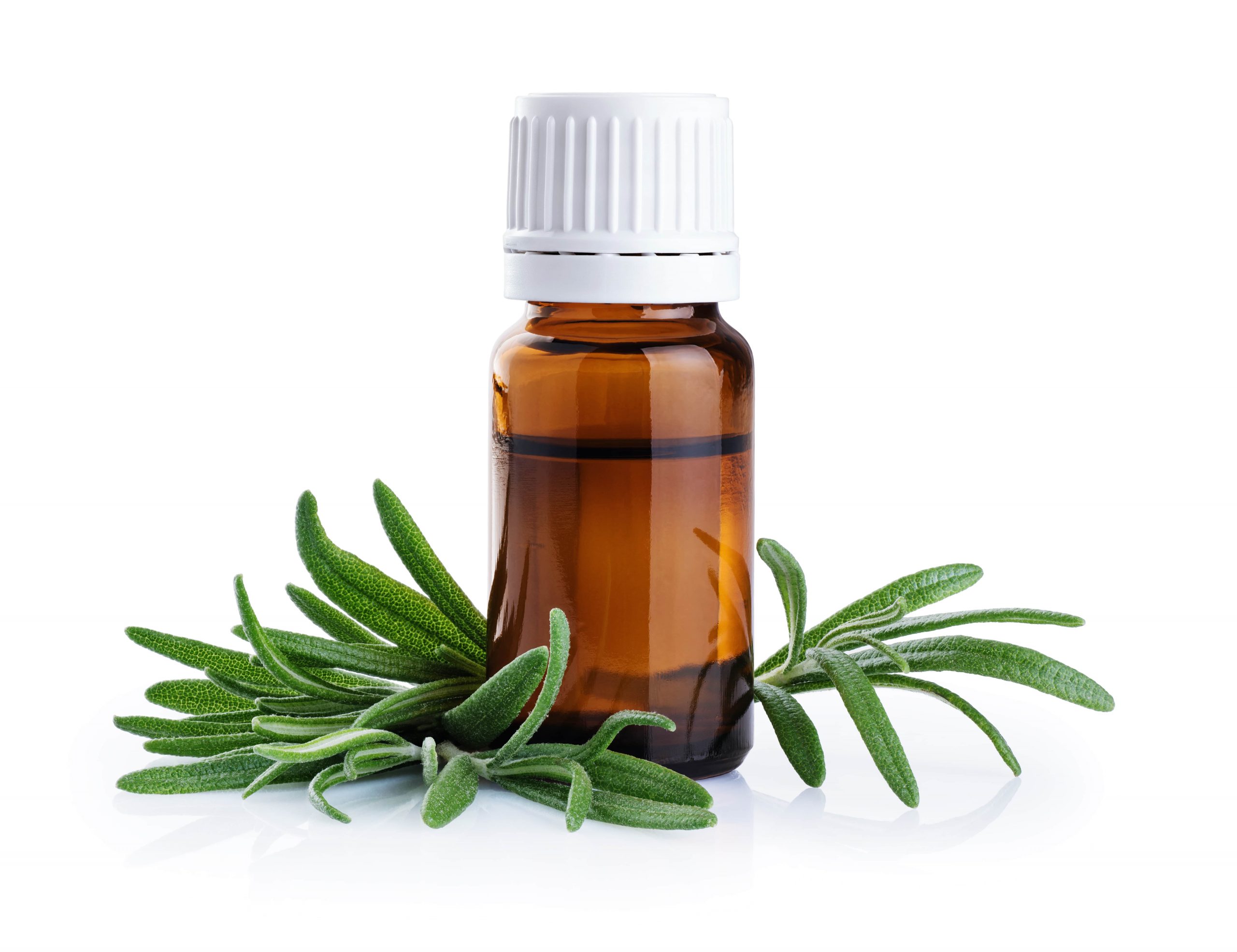 ROSEMARY ESSENTIAL OIL BENEFITS-min
