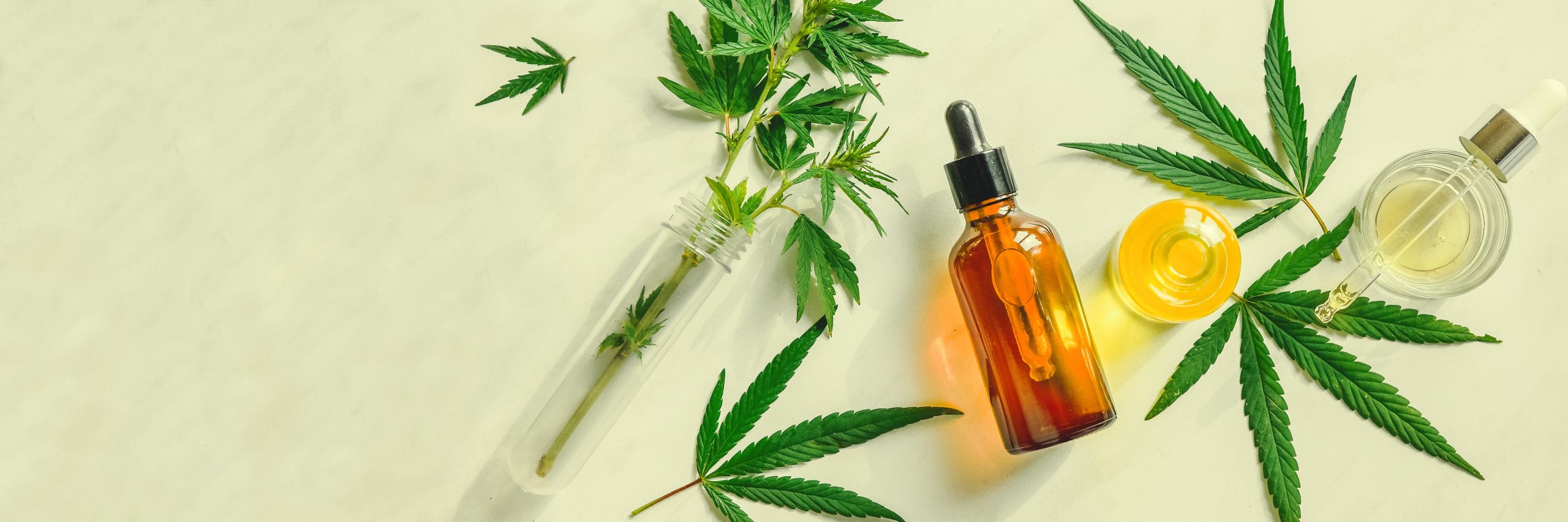 ALZHEIMER’S HOW CBD AND OTHER PRODUCTS CAN HELP