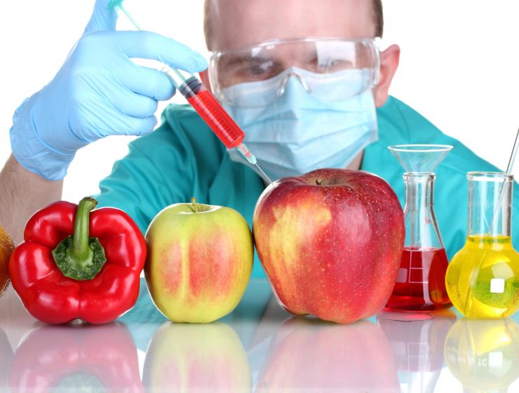 BENEFITS AND EFFECTS OF GENETICALLY MODIFIED ORGANISMS (GMO)-min