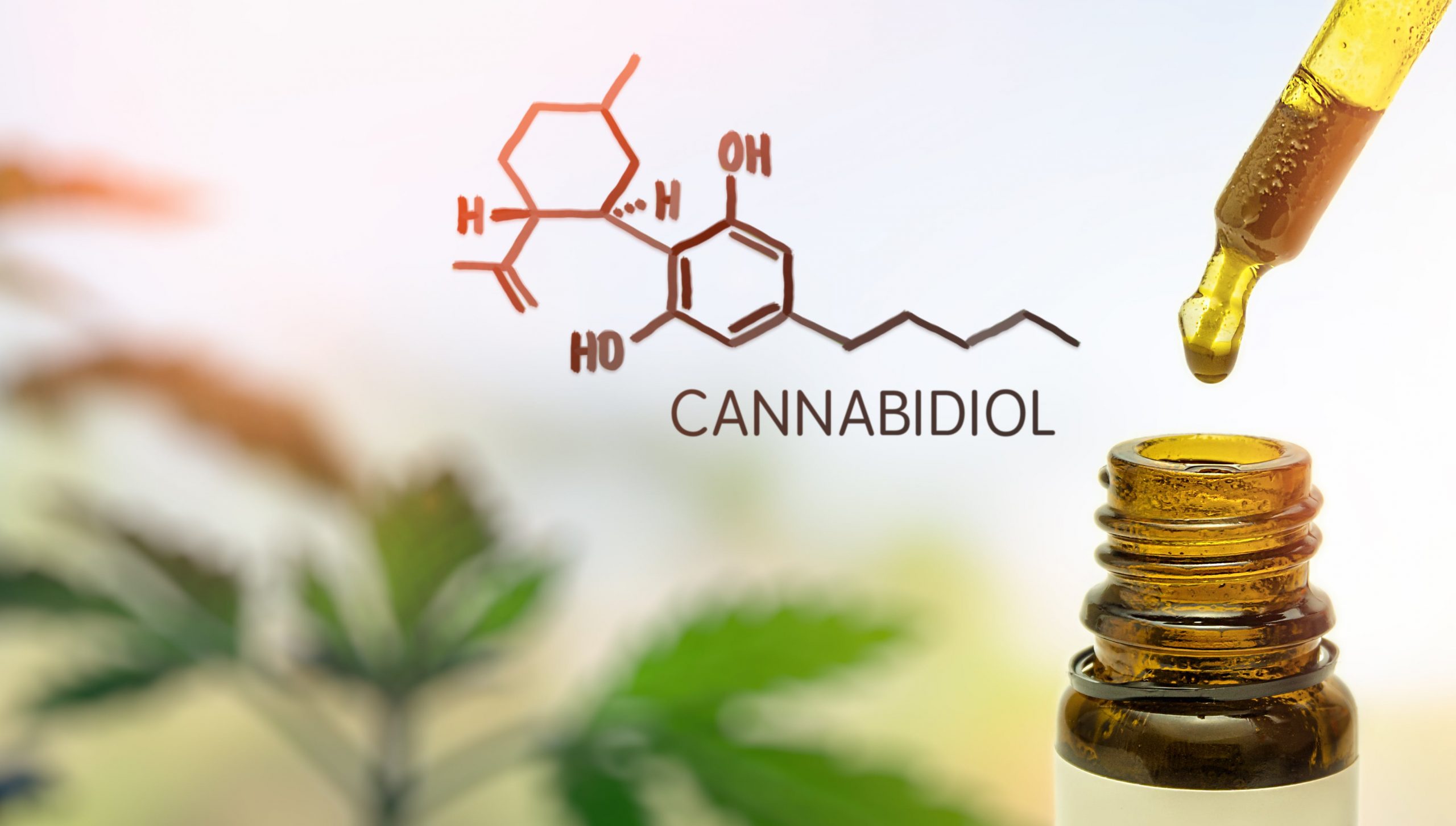 CAN CANNABIDIOL HELP IF YOU HAVE A STOMACH BUG?