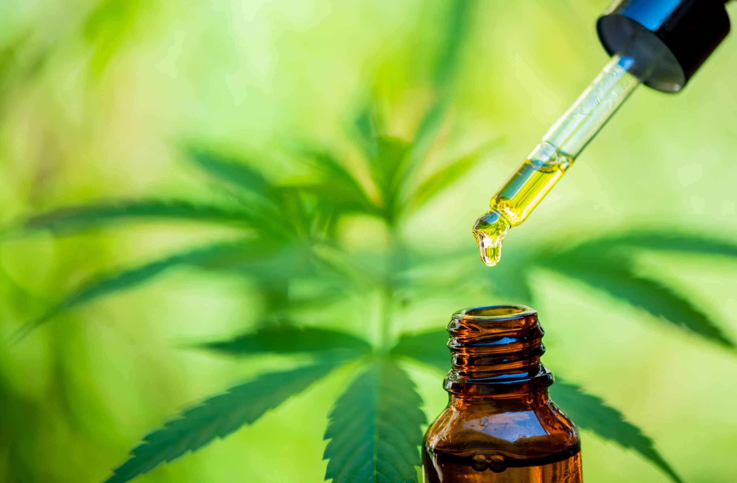 DRUG ADDICTION AND CBD OILS- WHAT YOU NEED TO KNOW-min