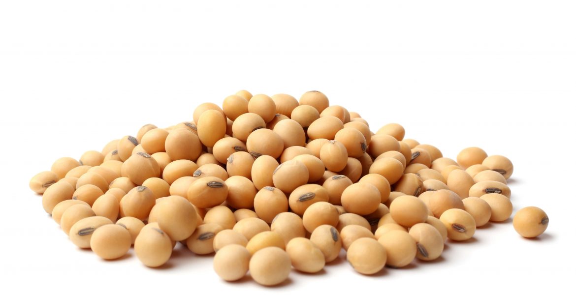 EVERYTHING YOU NEED TO KNOW ABOUT SOYBEANS-min