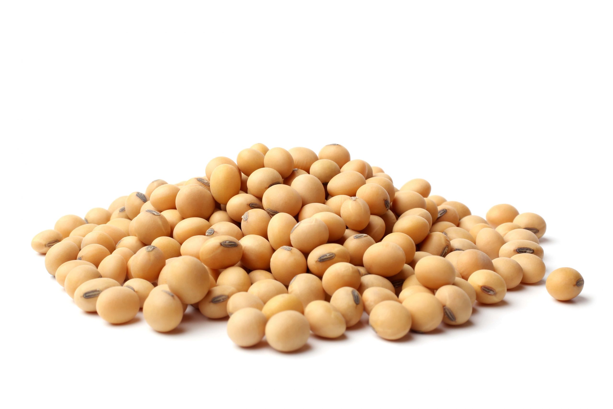 EVERYTHING YOU NEED TO KNOW ABOUT SOYBEANS-min