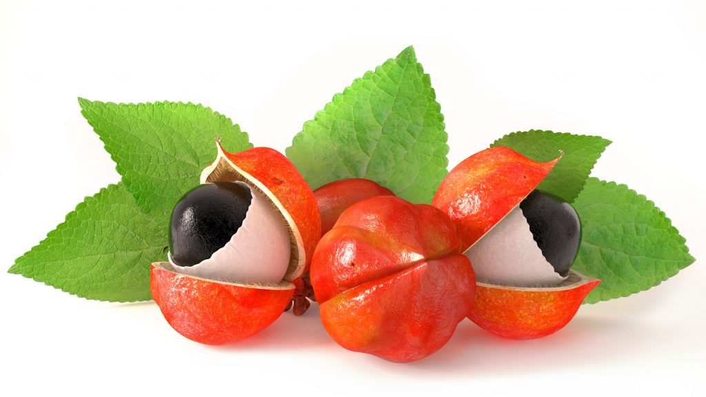 GUARANA-WHAT IS IT? - Shop Giejo Magazine