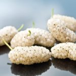 HEALTH BENEFITS OF WHITE MULBERRY-min