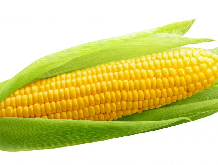 IS CORN A TYPE OF VEGETABLE-min