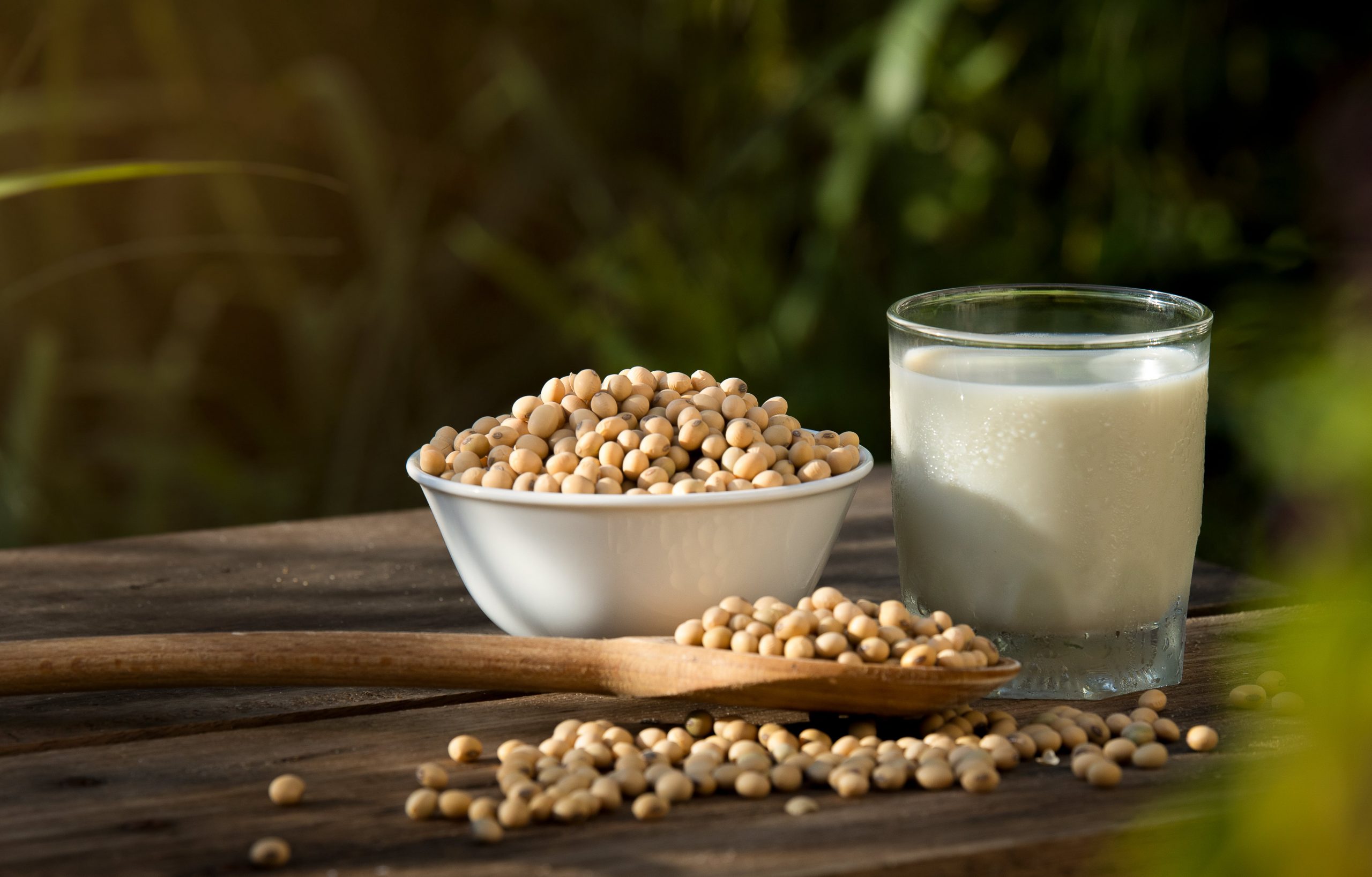 IS SOY PROTEIN GOOD OR BAD FOR YOUR HEALTH-min