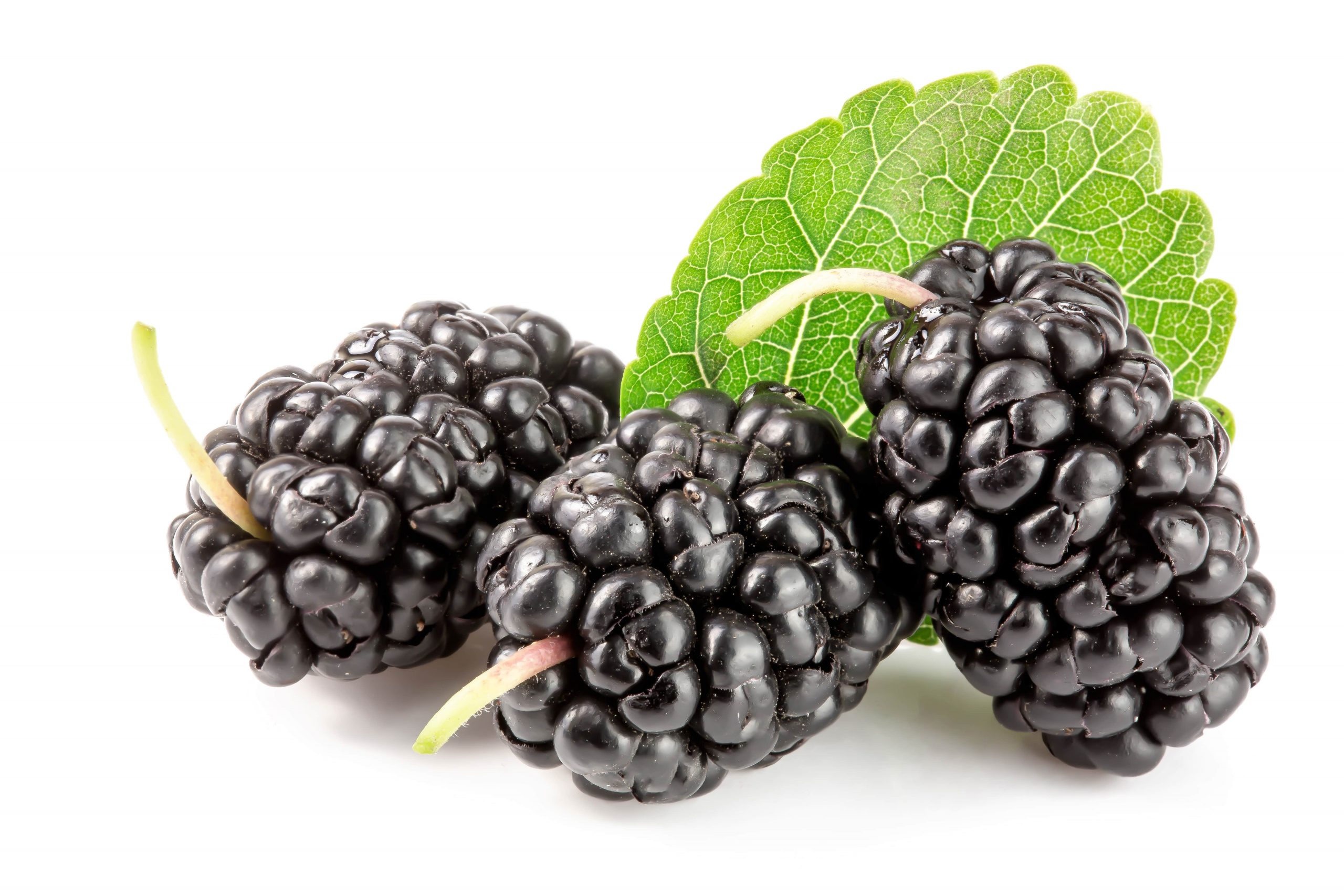 NUTRITION FACTS AND HEALTH BENEFITS OF MULBERRY-min