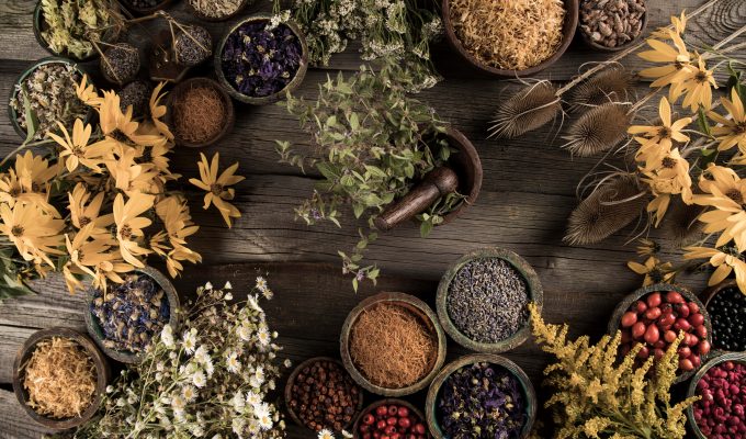 POWERFUL HERBAL MEDICINES YOU CAN USE-min