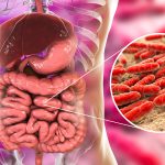 TIPS TO IMPROVE GUT BACTERIA-min