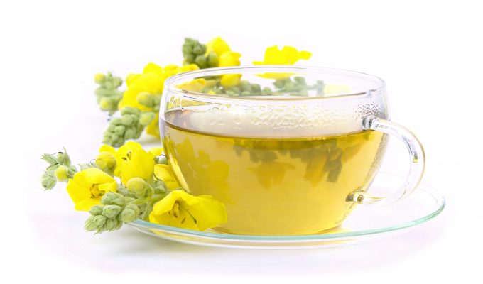 WHY YOU SHOULD START CONSUMING MULLEIN TEA-min