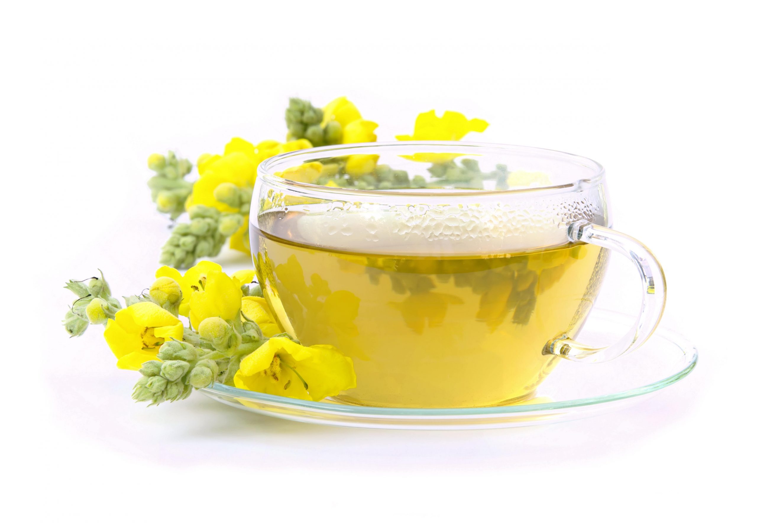 WHY YOU SHOULD START CONSUMING MULLEIN TEA-min