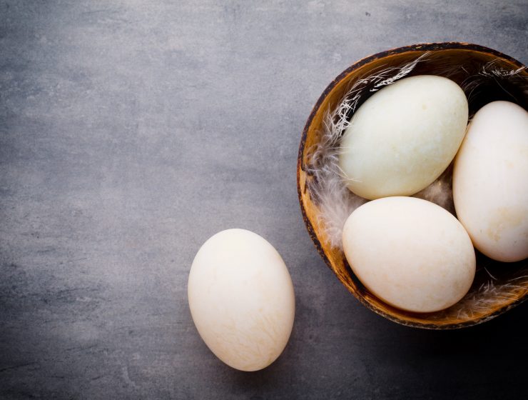 EVERYTHING ABOUT DUCK EGGS-min1