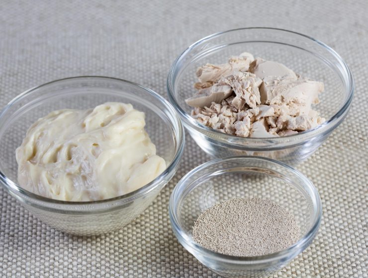 WHAT ARE THE BENEFITS AND BEST SUBSTITUTES OF YEAST-min