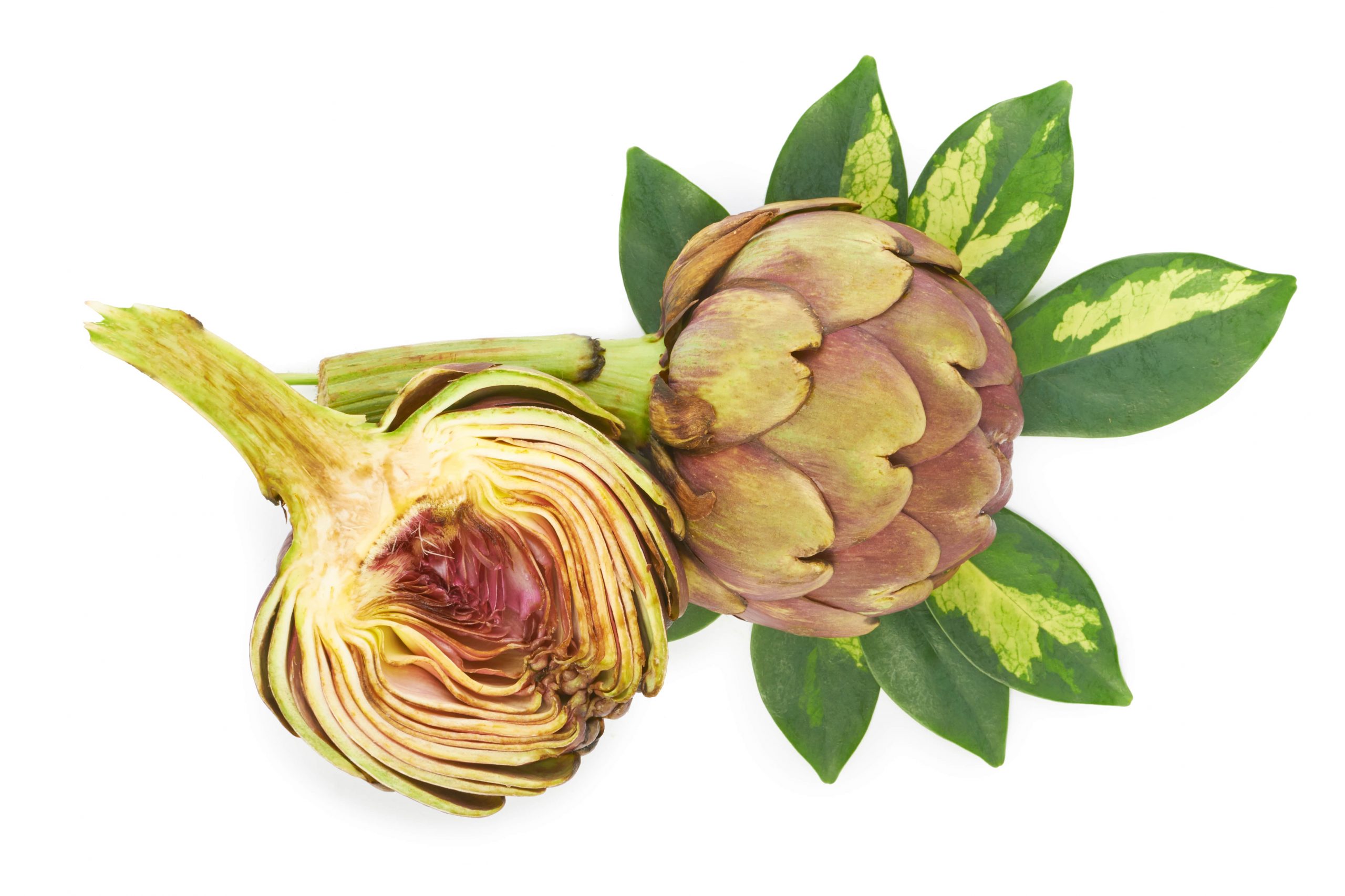 WHAT ARE THE HEALTH BENEFITS OF ARTICHOKE AND ARTICHOKE EXTRACT-min