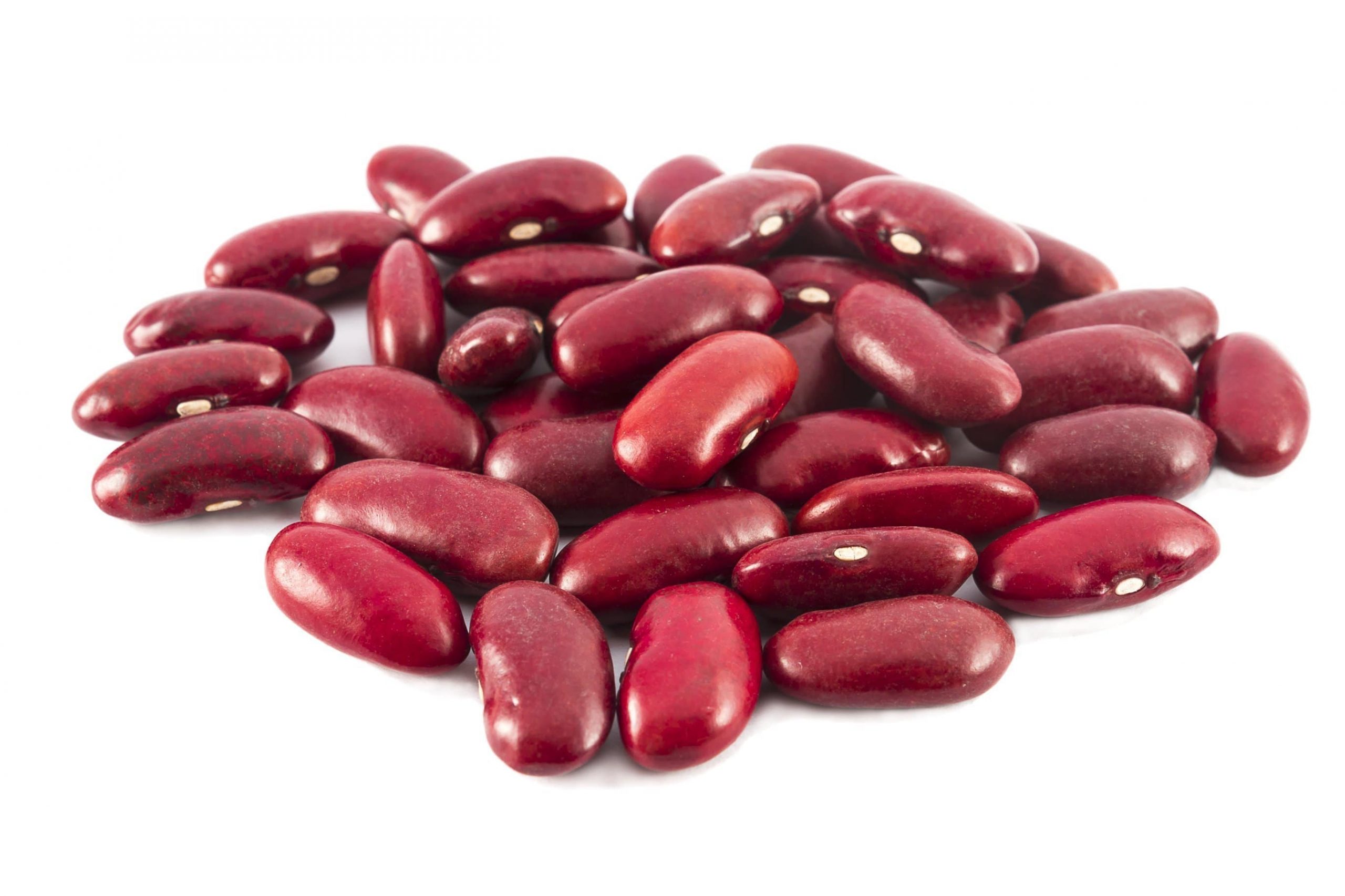ARE BEANS THE RICHEST SOURCE OF PLANT-BASED PROTEINS, BENEFITS, TYPES, AND SIDE EFFECTS-min