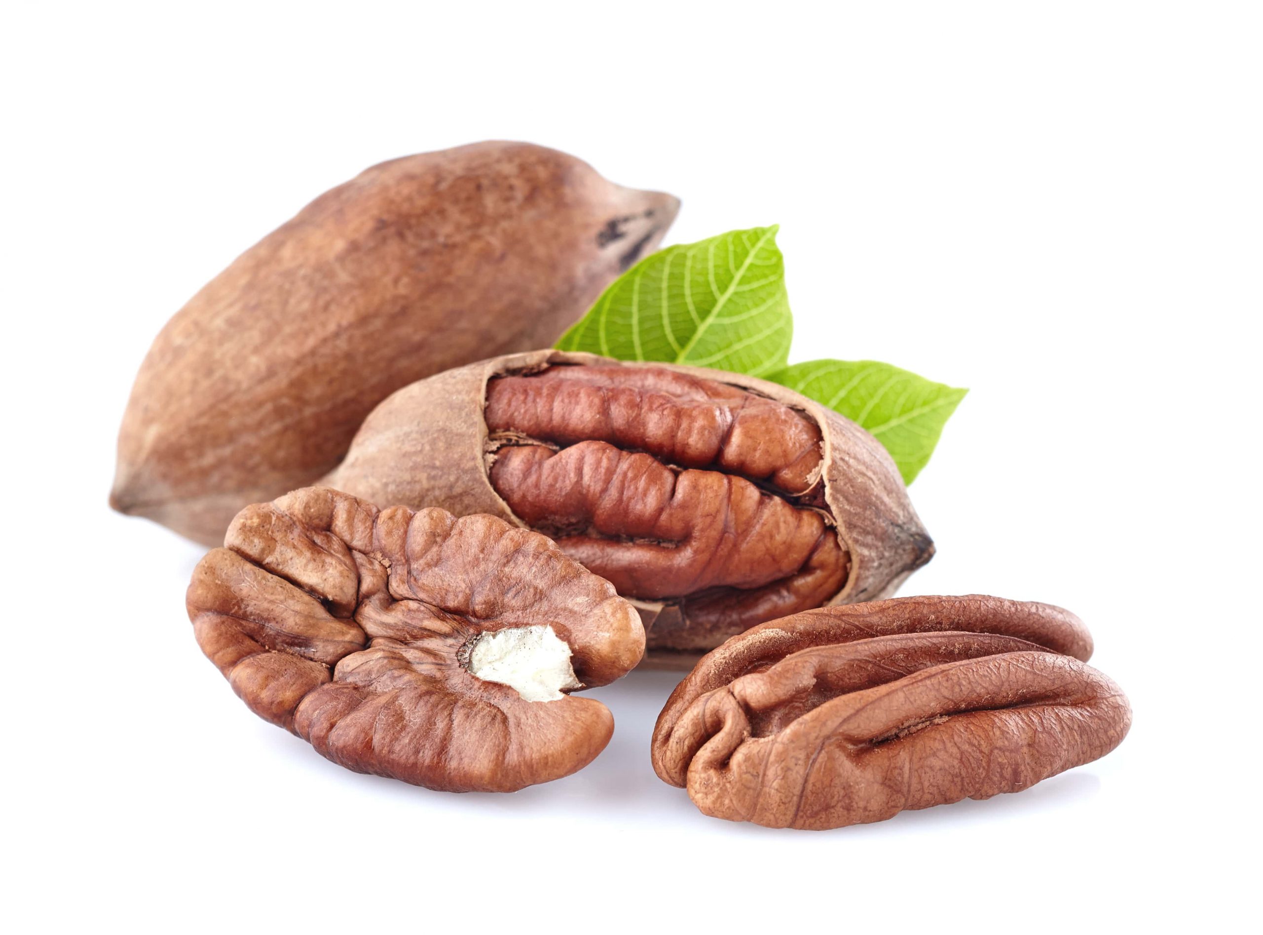 EVERYTHING YOU NEED TO KNOW ABOUT PECANS-min