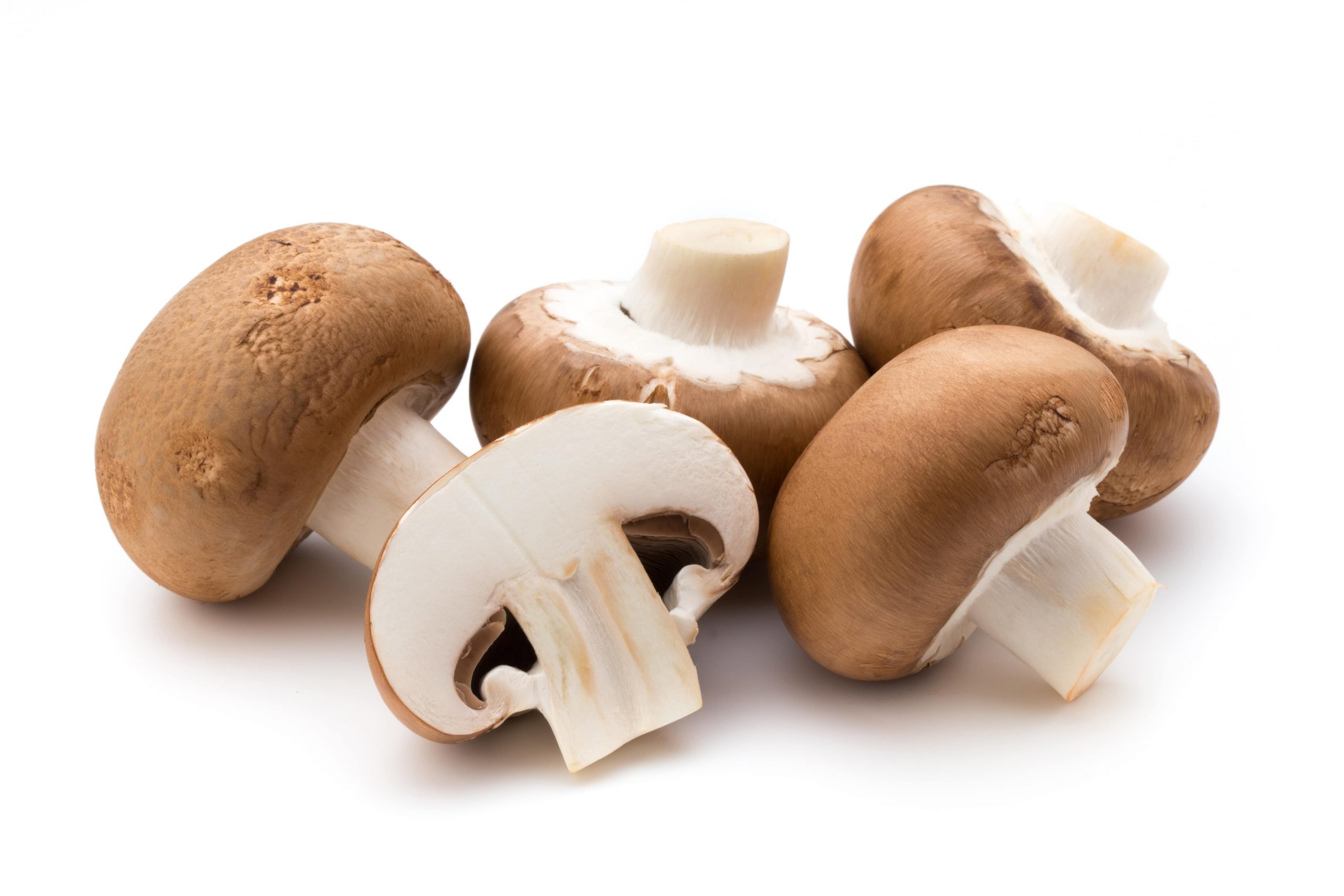 INCREDIBLE MUSHROOMS THAT WILL TURBO SHOOT YOUR IMMUNE SYSTEM-min