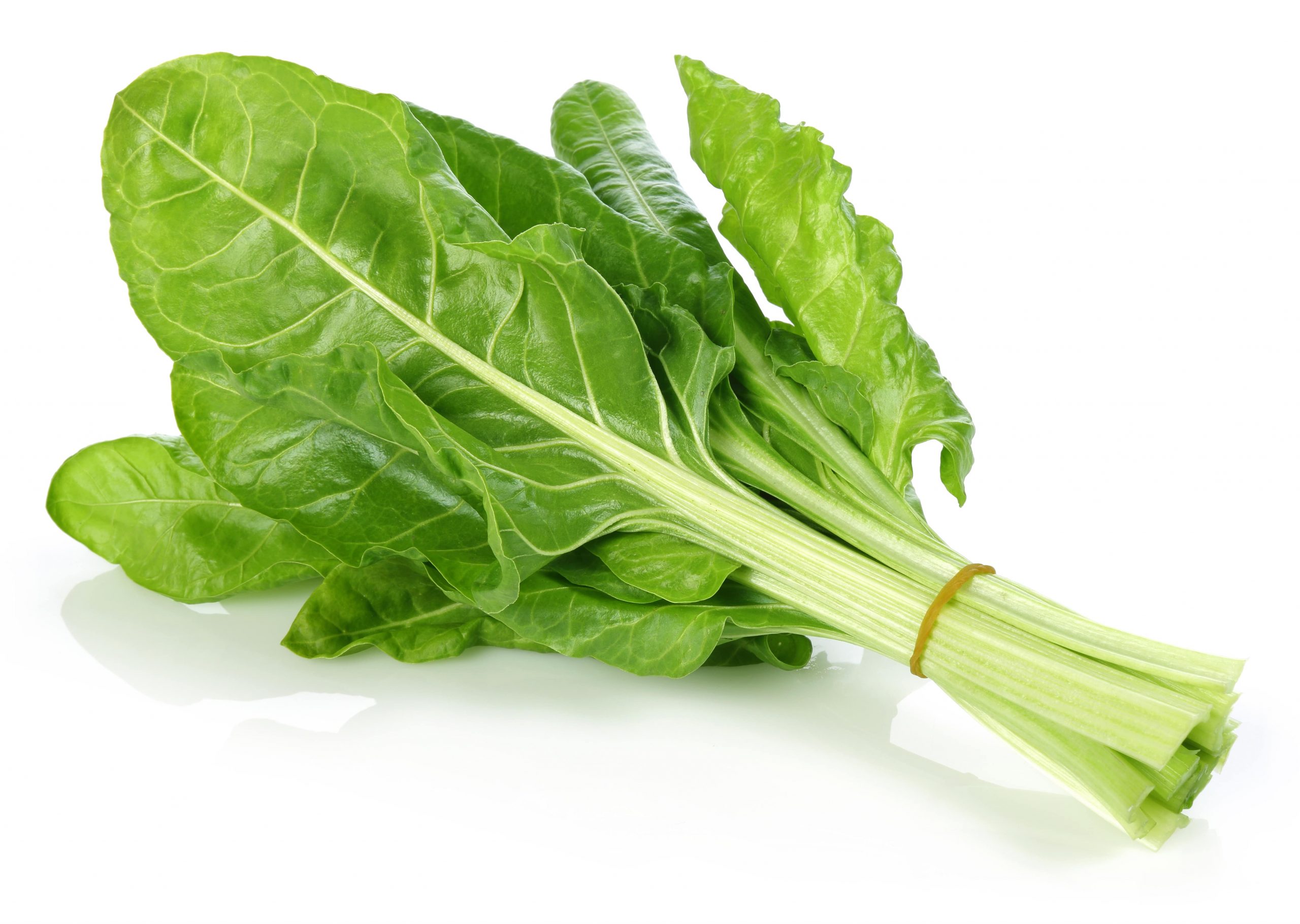THE NUTRITION FACTS AND HEALTH BENEFITS OF SWISS CHARD-min