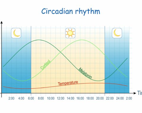 Circadian Rhythm-min