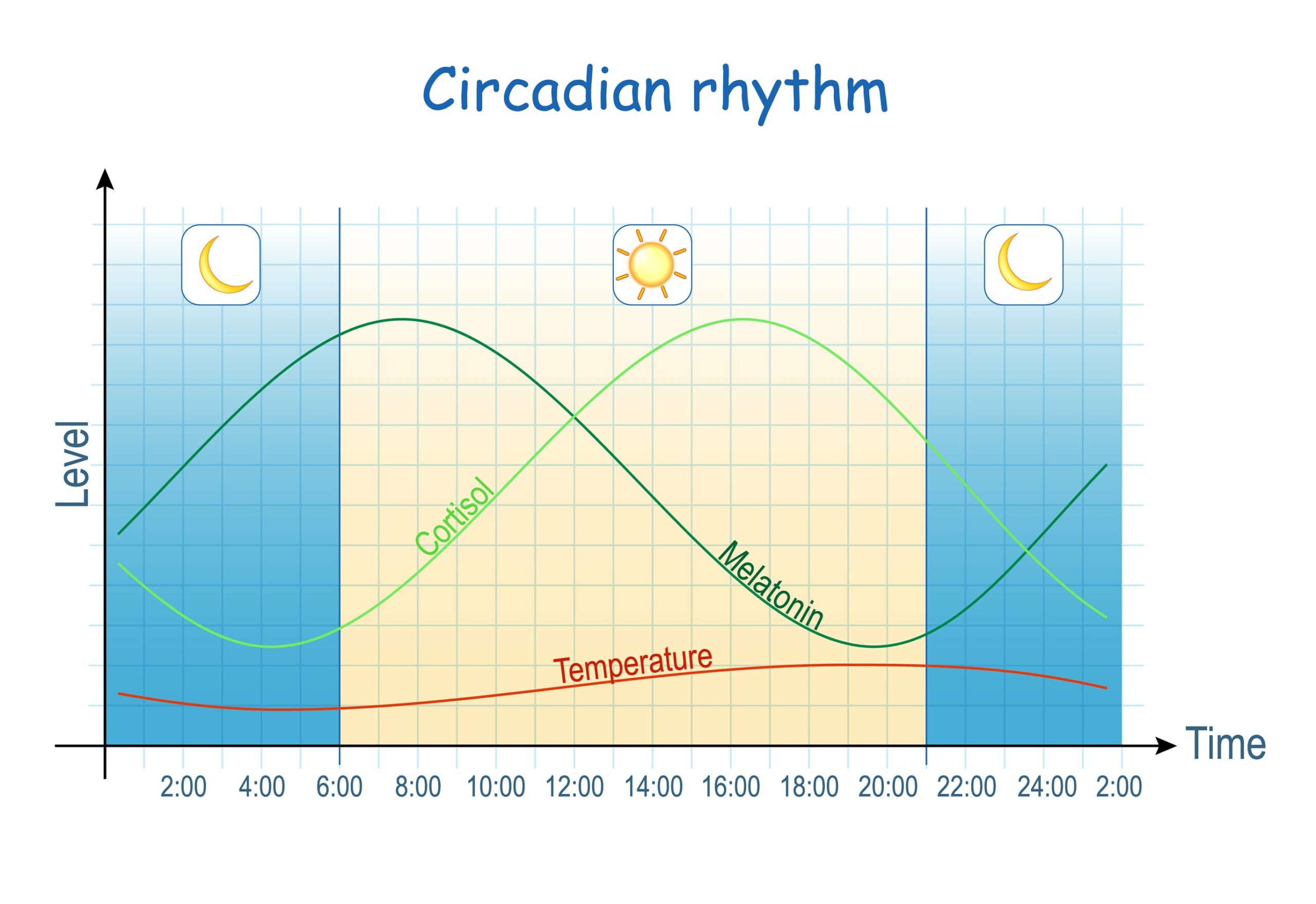 Circadian Rhythm-min