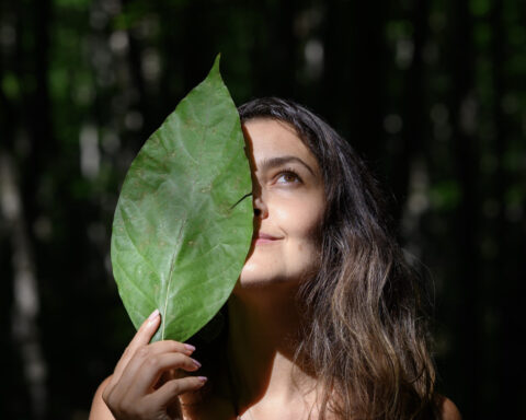 Amazonian SkinFood™: Biocosmetics for a Healthier Skin and a Living Amazon Rainforest.