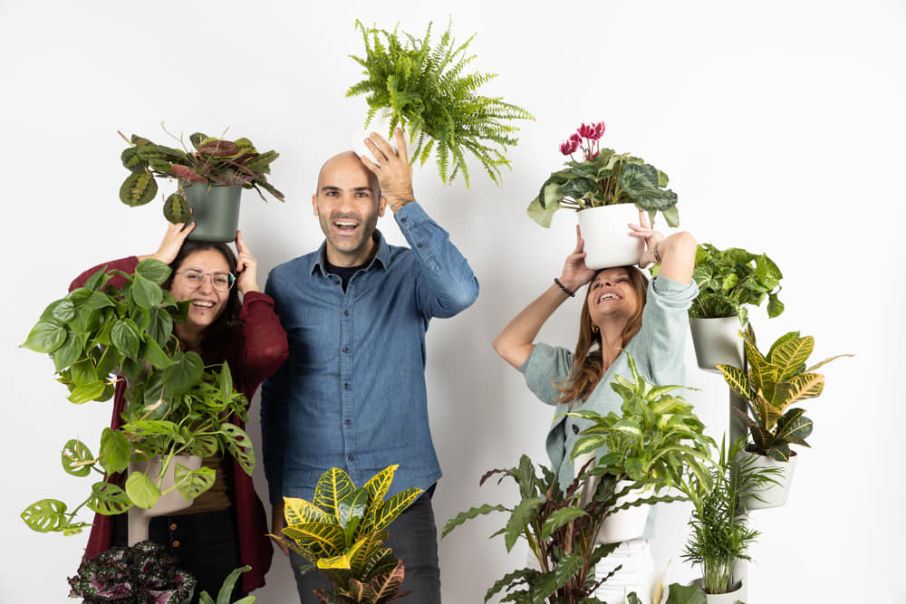 Bring nature to the house and the workplace