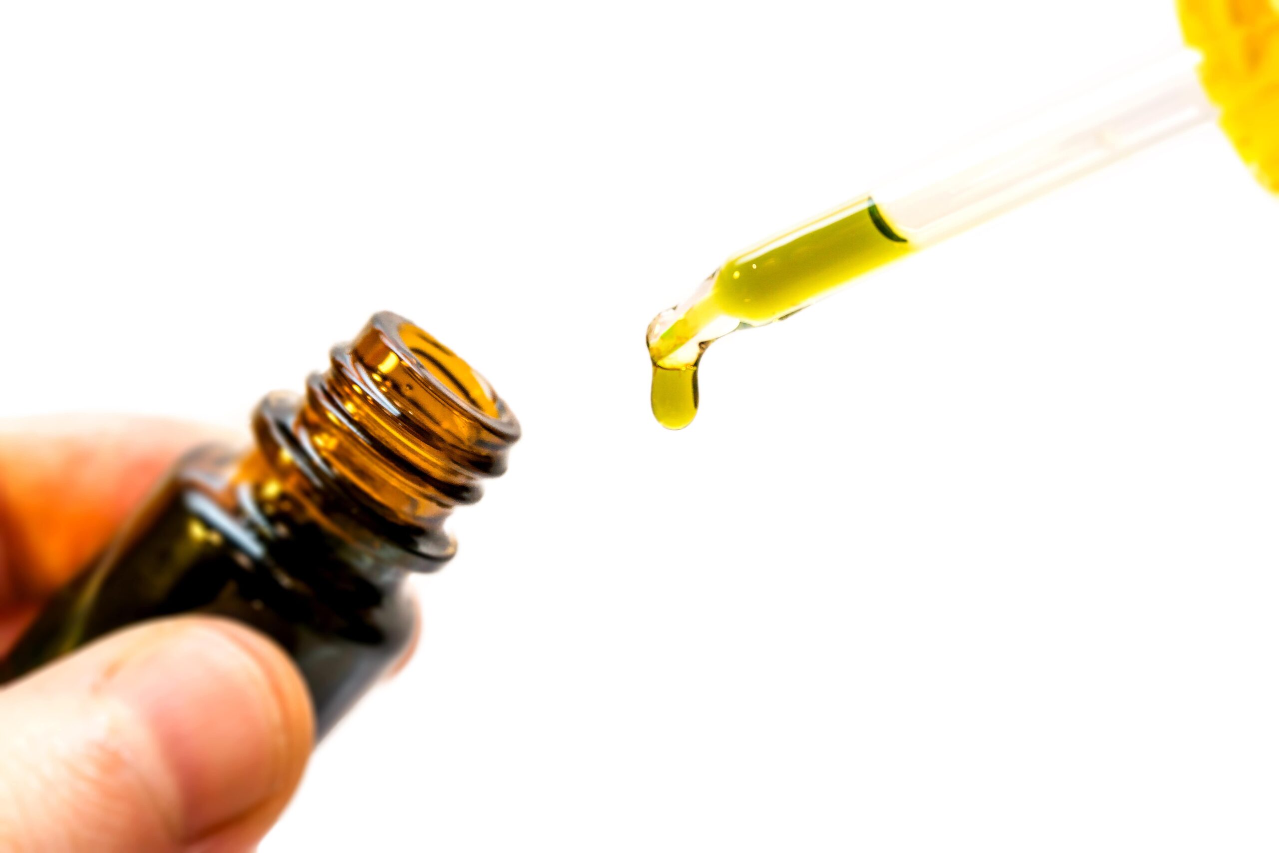 CBD oil in Florida: Everything You Need to Know