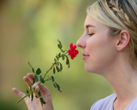 HOW OUR SENSE OF SMELL CONNECTS TO PERSONAL MEMORIES