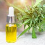 The Benefits of CBD Oil To Your Hair
