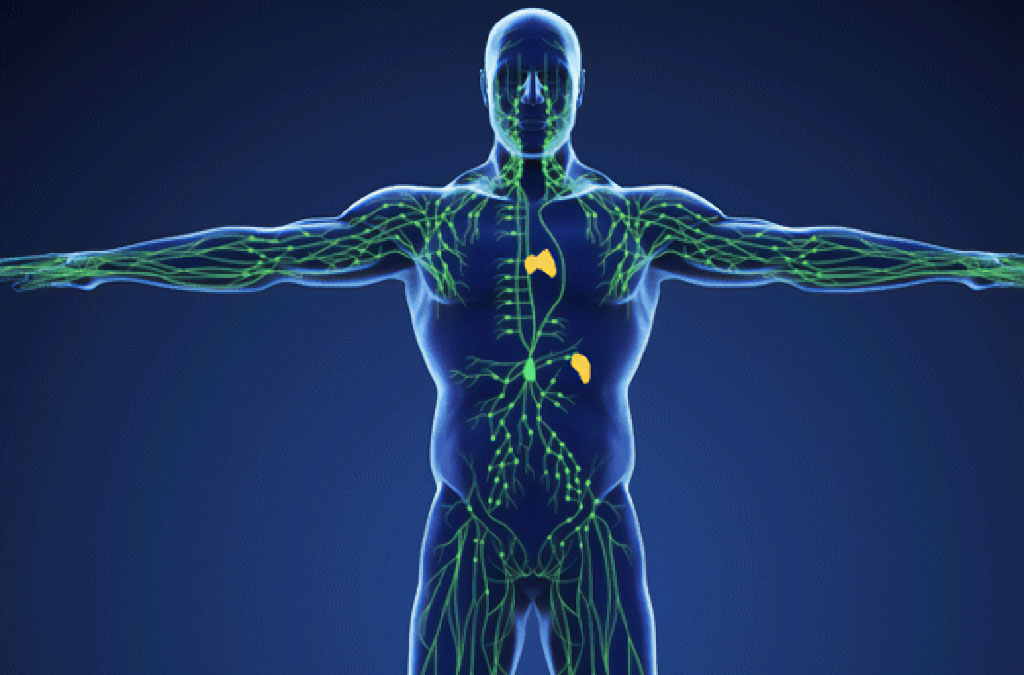WAYS TO LOOK AFTER YOUR LYMPHATIC SYSTEM