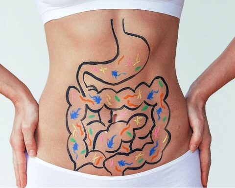 Why Our Digestion Can Sometimes Be Affected by Travelling (Gut Lag)