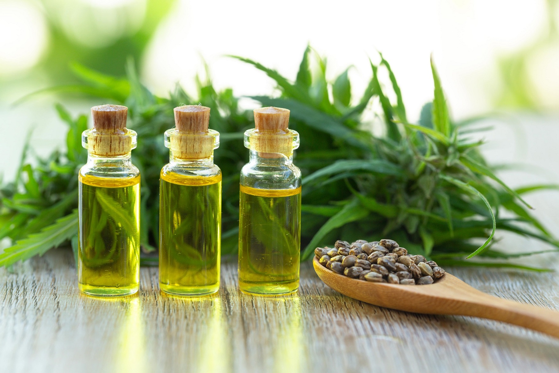 Why You Should Not Buy CBD Oil on Amazon