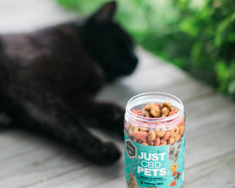 TOPICAL CBD PET PRODUCTS FOR YOUR CAT AND DOG