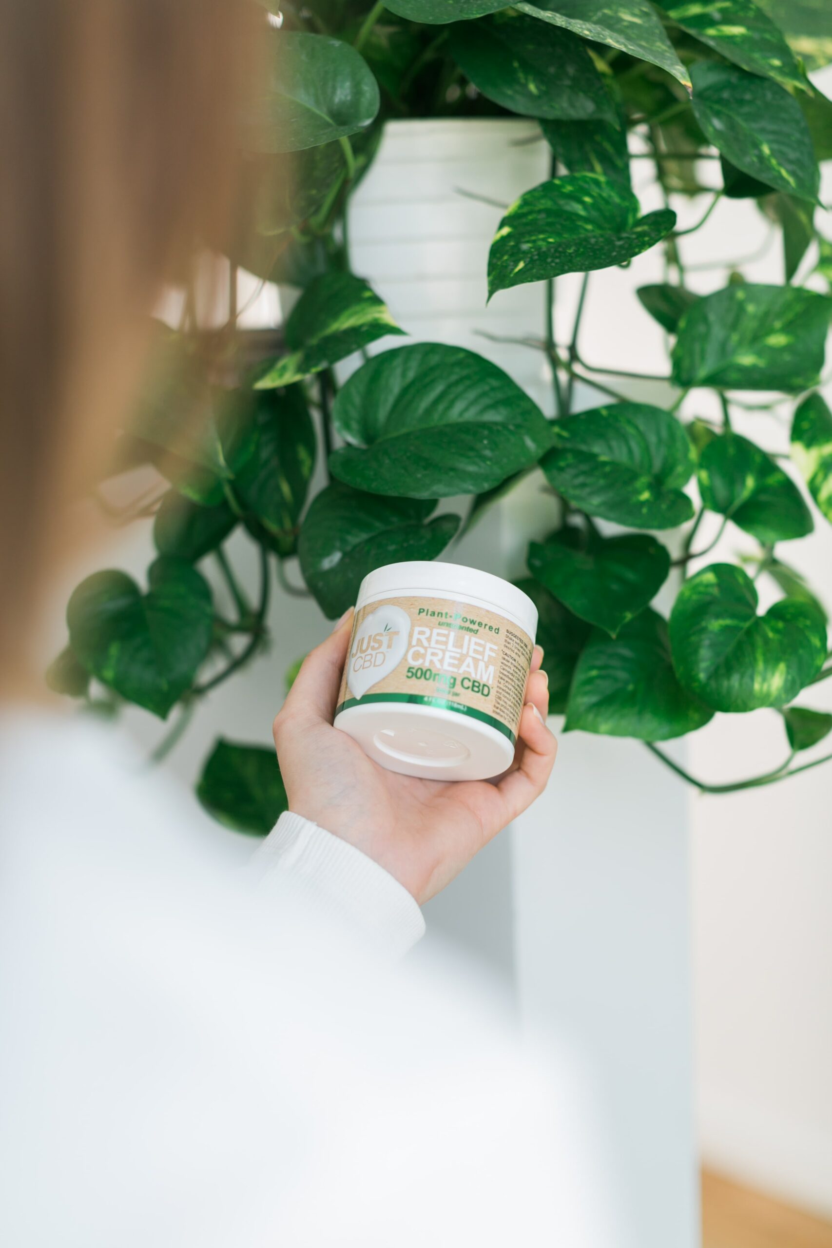 EVERYTHING YOU NEED TO KNOW ABOUT HEMP CREAM