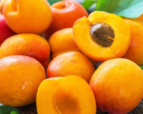 BENEFITS OF APRICOTS
