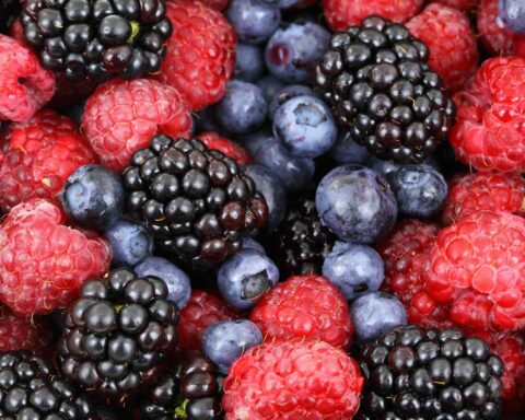 BEST BERRY FOR HIGH BLOOD SUGAR