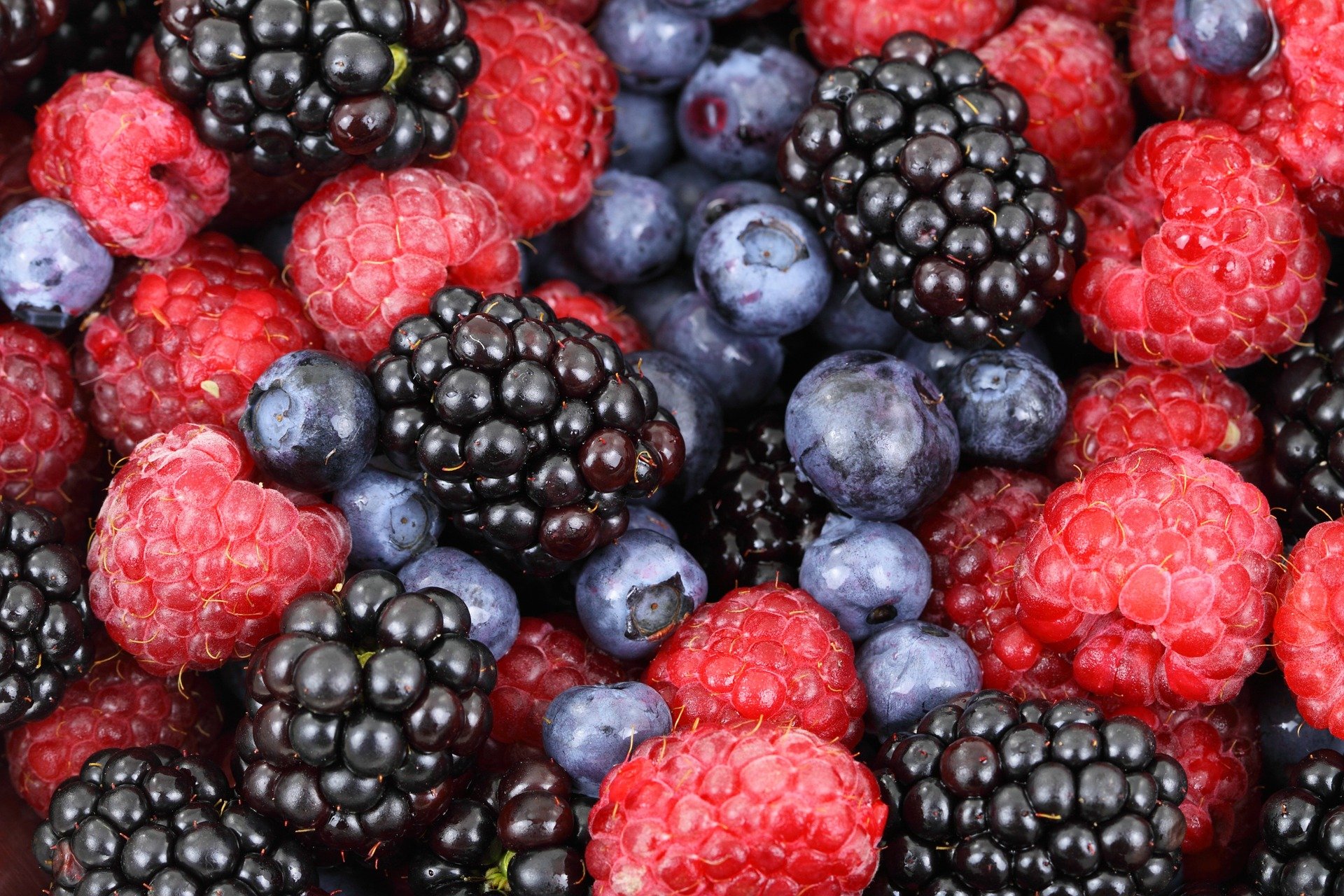 BEST BERRY FOR HIGH BLOOD SUGAR