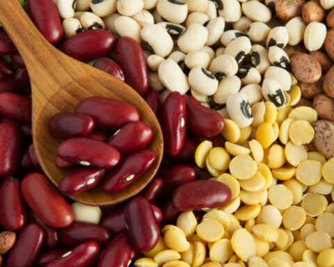 DO BEANS & LEGUMES WORSEN INDIGESTION AND BLOATING