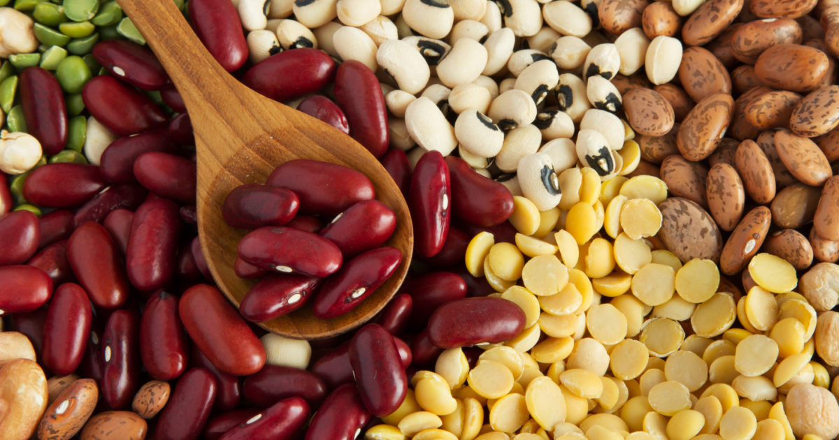 DO BEANS & LEGUMES WORSEN INDIGESTION AND BLOATING