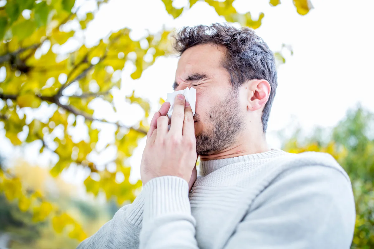HOW CAN YOU BEST PREPARE FOR HAYFEVER SEASON