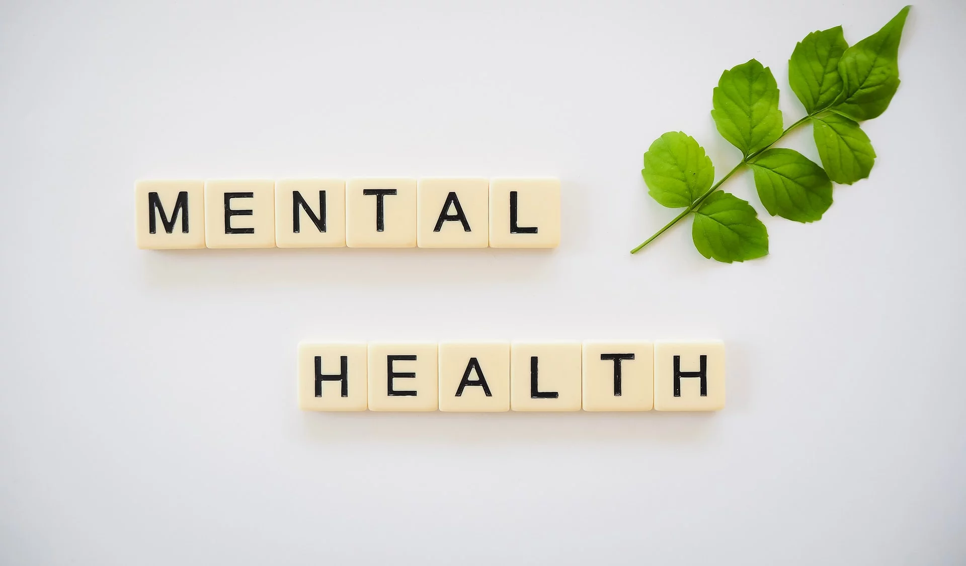 MENTAL HEALTH AND PERIMENOPAUSE