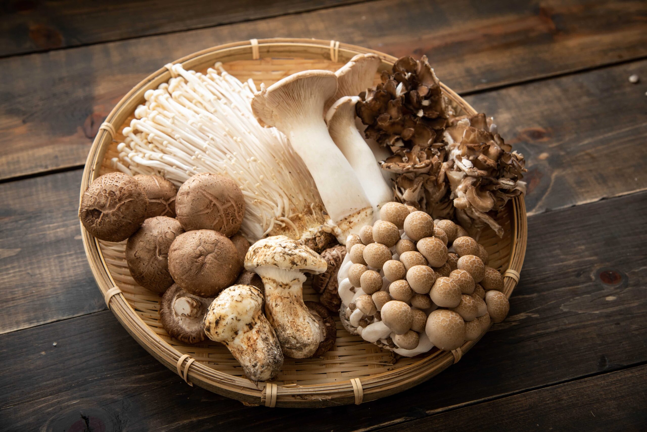Почему грибы употребляют в пищу. Лекарственные грибы. Азиатские грибы. Грибы в медицине. Фунготерапия.