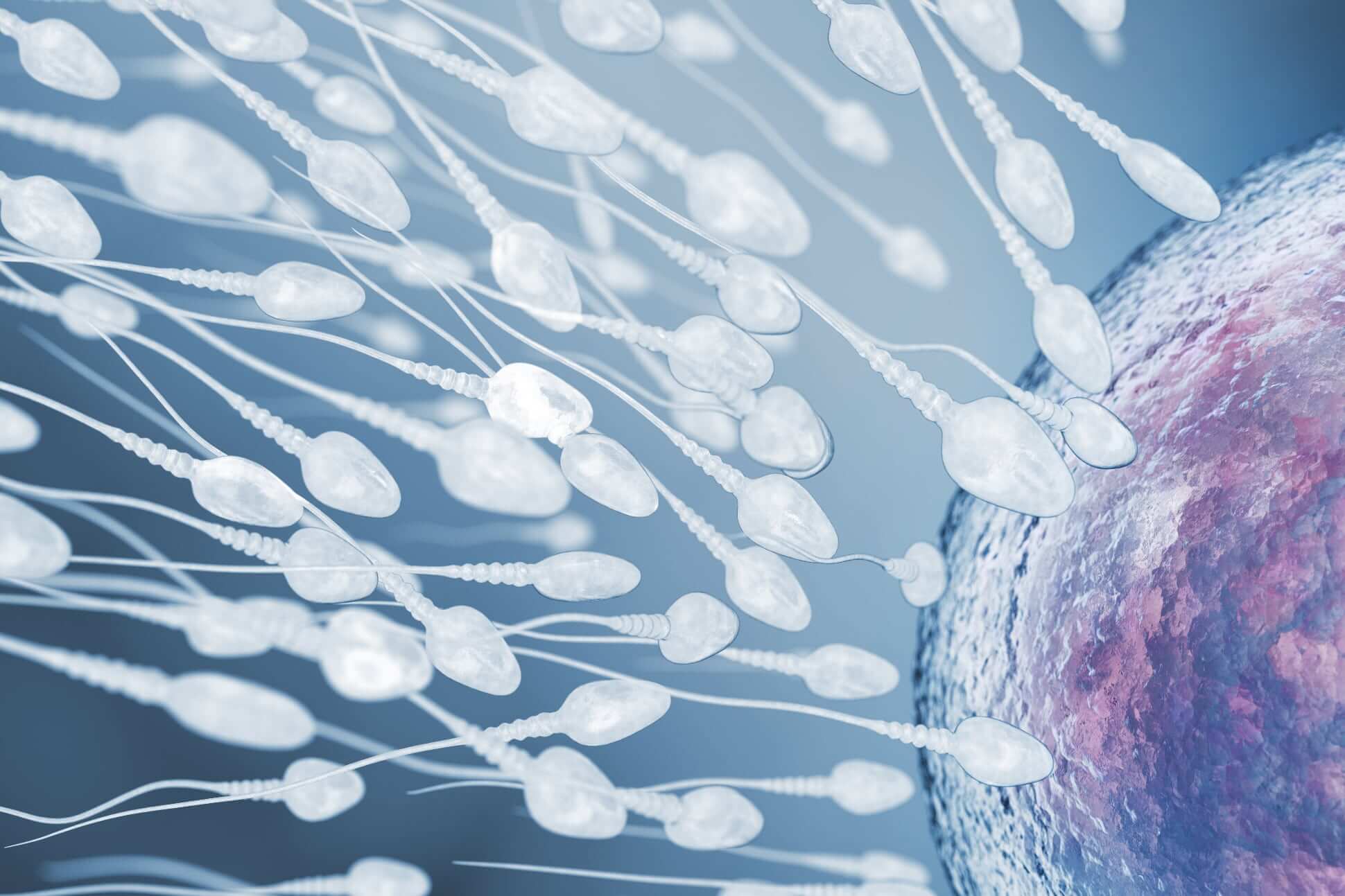 USE OF SOCIAL MEDIA TO FIND SPERM DONORS